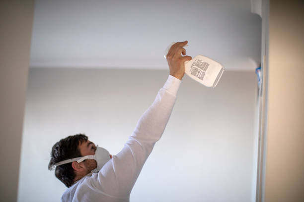 Best Toxic Mold Removal  in Piney Point Village, TX