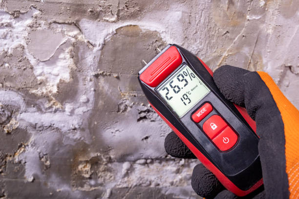 Best Mold Testing  in Piney Point Village, TX